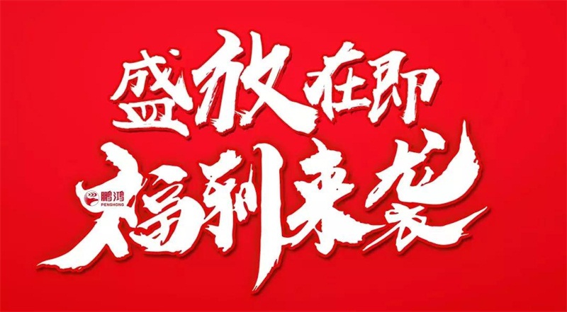 再拓疆域！鵬鴻We+定制&紅星美凱龍聯(lián)袂亮相烏魯木齊