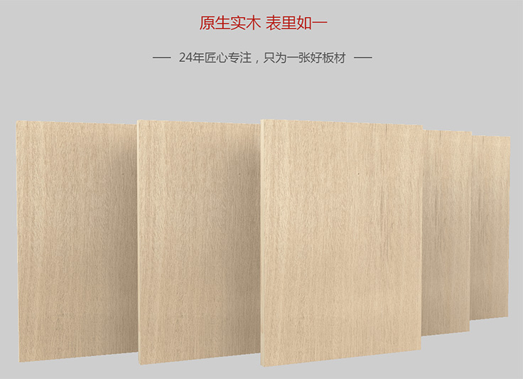 細(xì)木工板——鵬鴻板材開(kāi)山之作
