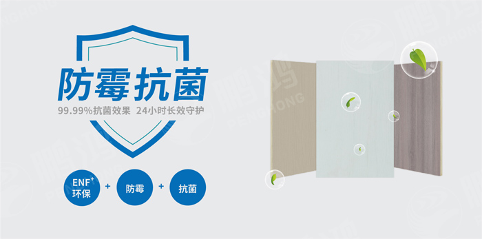 抗菌防霉木質(zhì)裝飾板行業(yè)標(biāo)準研討工作會圓滿召開
